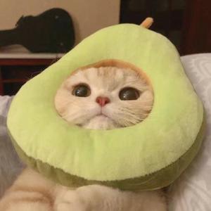 7%（抖音女生版）