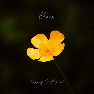 Bloom (feat. Danny McCarthy) (Acoustic)