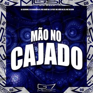 Mão no Cajado