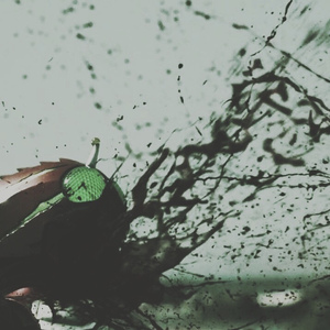 ᴀ ᴍᴀ ᴢᴏɴ s