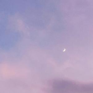 Escape From the Universe