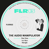 The Audio Manipulator - 1st Won (Original Mix)