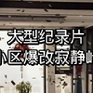 大型纪录片《小区爆改寂静岭》