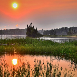 Revitalising Mud Spa-Like Sound
