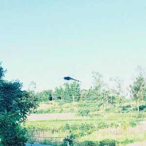 sunsetlover（prod.Gr33nart Beats ）