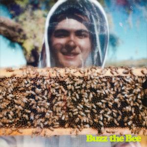 Buzz the Bee