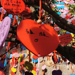 千禧（送给你的六一礼物）