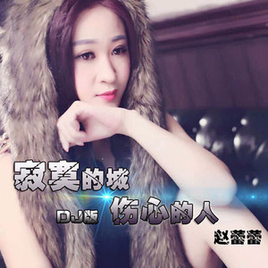 寂寞的城伤心的人 (DJ何鹏 Remix)