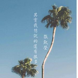 其实我想说的还有很多