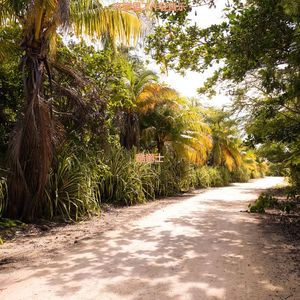 在家里工作轻音乐