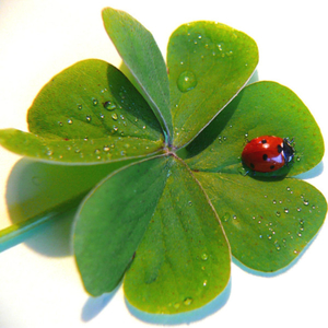 Şans ve Kader Kavramı - The Curious Case of Benjamin Button