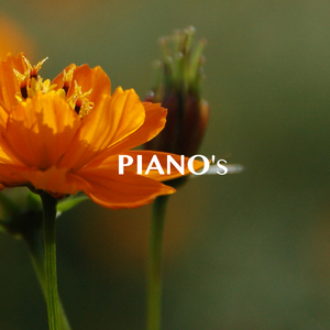 ユー・アー・ザ・サンシャイン・オブ・マイ・ライフ