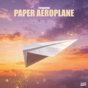 Paper Aeroplane