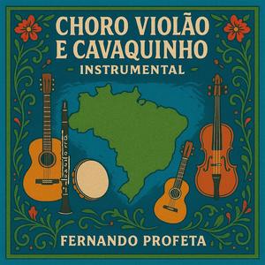 Choro Violão e Cavaquinho Nº 4