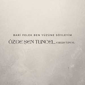 Bari Felek Ben Yüzüne Söyleyim