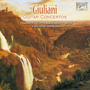 Concerto for Guitar and Orchestra No. 3 in F Major, Op. 70: I. Allegro moderato
