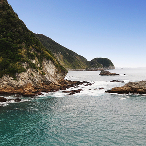 田间站立多年地稻草人