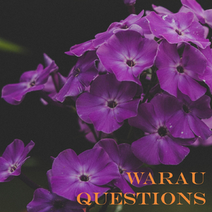 Questions (Introspection Mix)