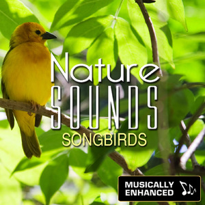 Songbirds