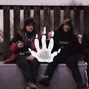 Taub