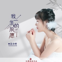 我一生的夙愿 (DJ默涵版)