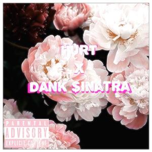 Hurt X Dank $inatra