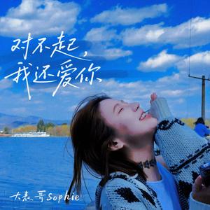 对不起，我还爱你