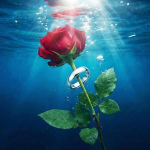 ยังมีลมหายใจ (Still breathing)