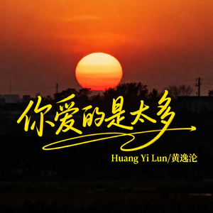 你爱的是太多