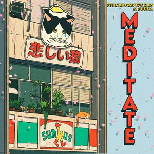 Meditate (feat. Suuna)