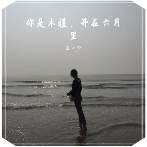 你是木槿，开在六月里