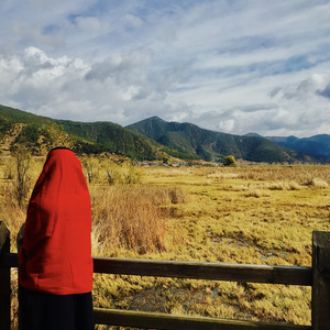 十二（弹唱cover）