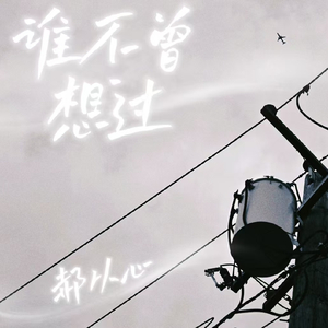 谁不曾想过(伴奏)