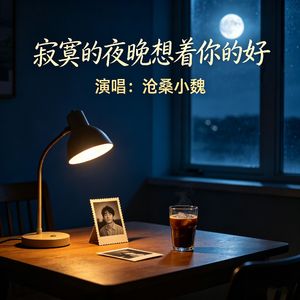 寂寞的夜晚想着你的好