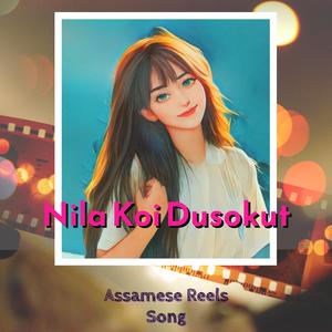 Nilakoi Dusokut | Assamese Reels Song
