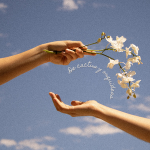 Lo que dejaste aquí