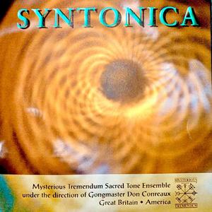 On The Frying Pan...We Need Some Dancers (feat. Simon 7 Mecca Bodega, Darius Kaufman, Doron Yomtov, Robert Pomann & Randee Ragin)