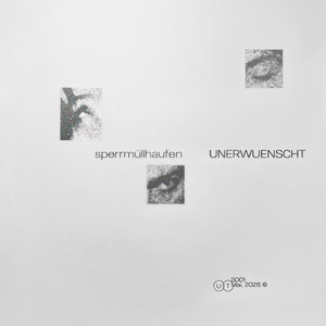 sperrmüllhaufen