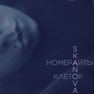 Номерайты клеток