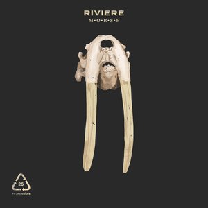 Avant de m'éteindre