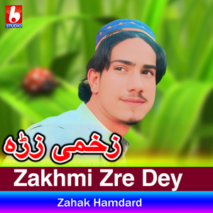 Zakhmi Zre Dey