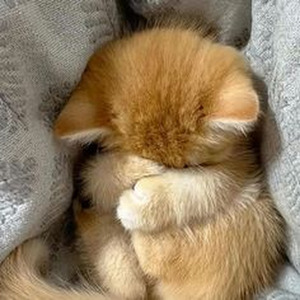 Places To Go (sped up)