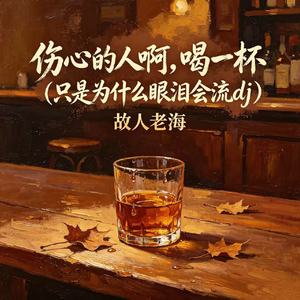 伤心的人啊，喝一杯（只是为什么眼泪会流dj）