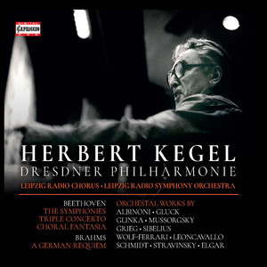 Symphony No. 9 in D Minor, Op. 125, "Choral":IV. Finale: Presto - Allegro assai