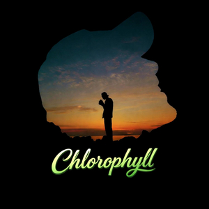 Chlorophyll