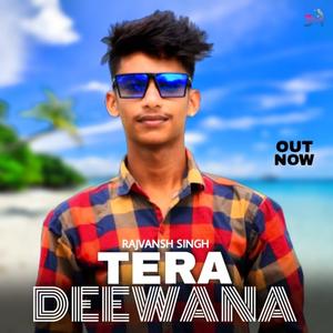 Tera Deewana