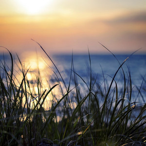 盛夏光年吉他版（翻自 eddy盖奶）