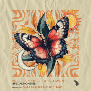 Special Moments (Hypsidia Remix)