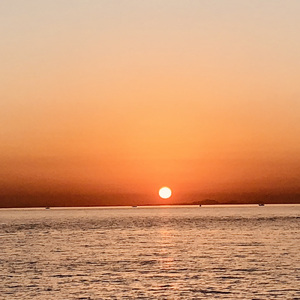 金色の大地 (Acoustic.ver)