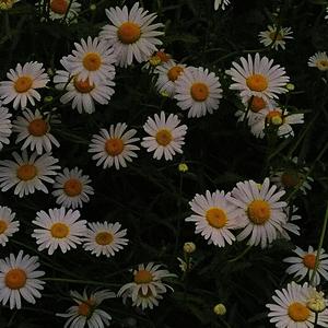 You(Prod by.4Hunnid)